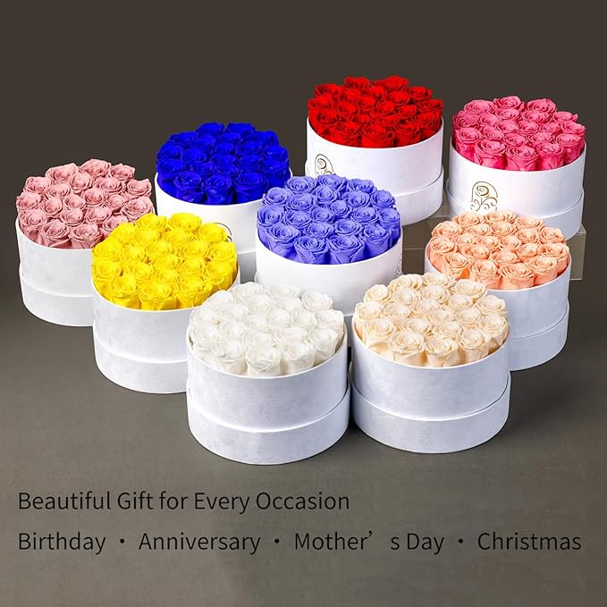 Gifts for Women Preserved Roses Flower Box, Luxury Velvet Box with 20 Roses, Preserved Flowers, Romantic Gift for Her, Wife, Girlfriend, Birthday Anniversary Christmas (Buttermilk)