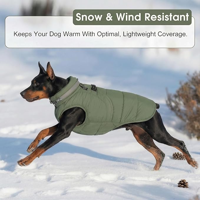 SAWMONG Dog Coat, Warm Dog Winter Coat, Waterproof Fleece Jacket, Cold Weather Dogs Jacket (S,Green)