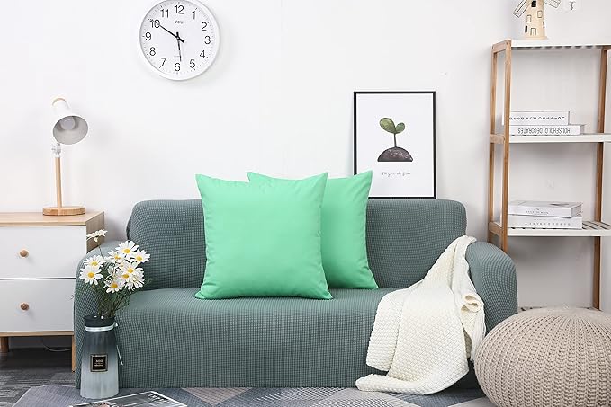 TangDepot Handmade Decorative Solid 100% Cotton Canvas Throw Pillow Covers/Cushion Covers, 45 Colors Available - (20" x20" , Mint Green, 2 Count (Pack of 1))