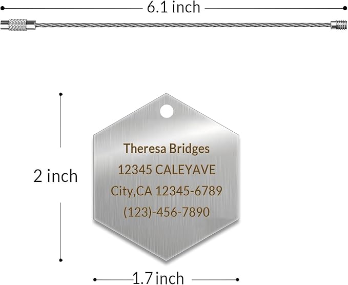 (5Pack Made in USA) Custom Personalized Luggage Tags-Customized Unique tag for Suitcase Backpack Travel,Bags (Hexagon (2 × 2))