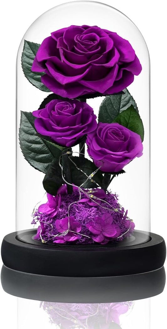 3 Preserved Flowers Roses in Glass Dome with Light for Beauty and The Beast Decor Real Rosas Eternas for Women Mom Birthday,Forever Purple Roses for Delivery, for Wife Girlfriend Her