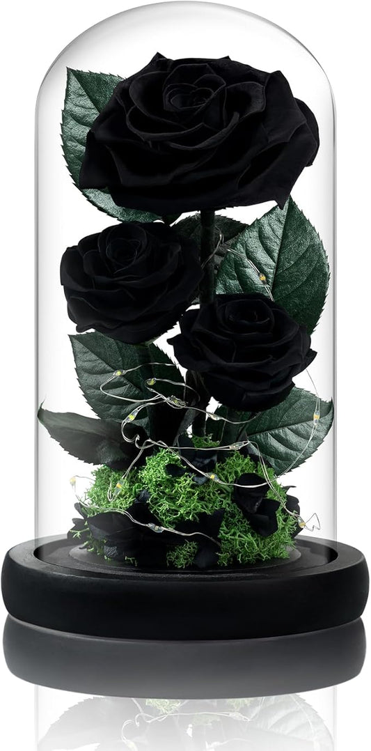 3 Preserved Flowers Roses in Glass Dome with Light for Beauty and The Beast Decor Real Rosas Eternas for Women Mom Birthday,Forever Black Roses for Delivery, Christmas for Wife Girlfriend Her