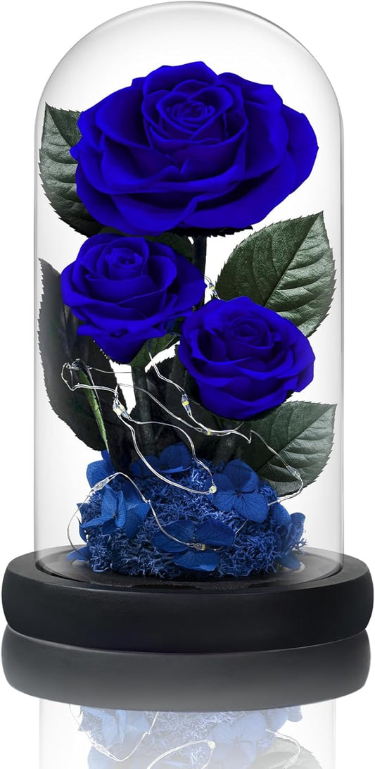 3 Preserved Flowers Roses in Glass Dome with Light for Beauty and The Beast Decor Real Rosas Eternas for Women Mom Birthday,Forever Blue Roses for Delivery,Christmas for Wife Girlfriend Her