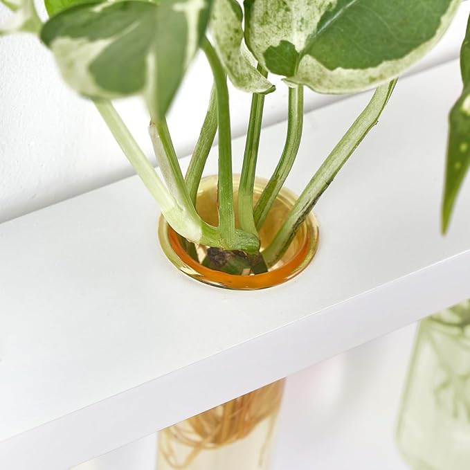 Mkono Plant Propagation Tubes, 3 Tiered Wall Hanging Terrarium with Wooden Stand Test Tube Flower Vase Glass Planter Stations Home Office Decor Plant Lover Gift, White