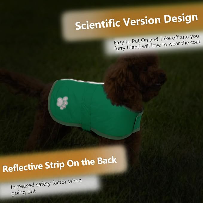 Queenmore Dog Winter Coat, Cold Weather Fleece Jacket for Dogs, Waterproof Reflective Reversible, for Small, Medium and Large Dogs (Green, S)
