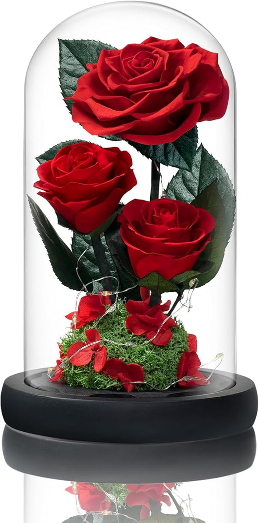 3 Preserved Flowers Roses in Glass Dome with Light for Beauty and The Beast Decor Real Rosas Eternas for Women Mom Birthday,Forever Red Roses for Delivery, Gifts for Wife Girlfriend Her