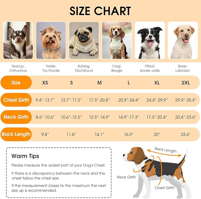 Queenmore Dog Winter Coat, Cold Weather Fleece Jacket for Dogs, Waterproof Reflective Reversible, for Small, Medium and Large Dogs (Grey, M)