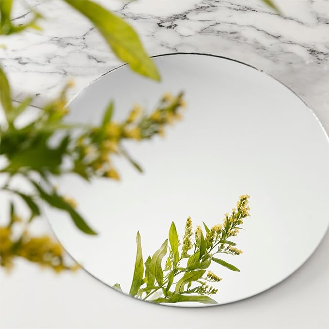 Round Acrylic Mirrors for Centerpieces 10 PCS Circle Mirror Candle Trays 8Inch 1.6mm Round Mirror Trays for Wall Decor,Table Centerpieces,Wedding Party Decorations(Acrylic Material)