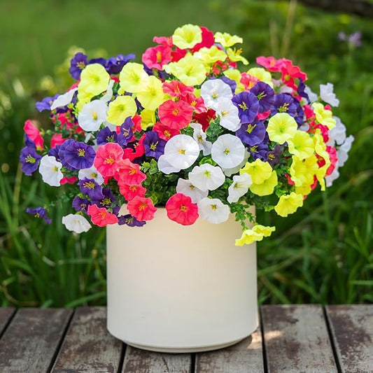 Spring Summer Mix Color Artificial Morning Glory, 12 Bundles Artificial Flowers for Outdoors Decorations UV Resistant Realistic Silk Flowers for Patio Home Decor Garden Planter Window Box Yard