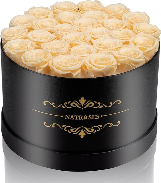 NATROSES 27 Piece Forever Preserved Roses in a Box, Preserved Flowers for Delivery Birthday, for Mom, Buttermilk