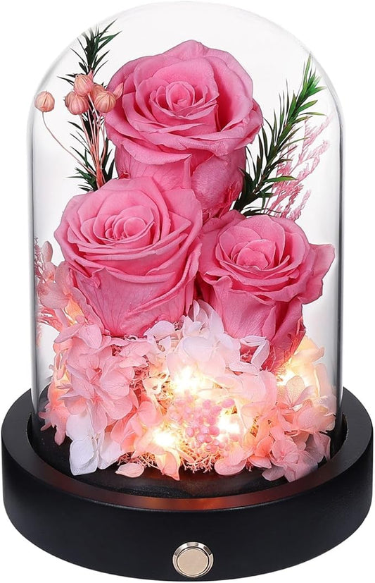 Forever Flowers Gifts for Women,Preserved Roses in Glass Dome, Eternal Flowers for Delivery Prime, Real Pink Roses Anniversary Valentines Day Christmas Birthday Gifts for Mom Grandma Wife