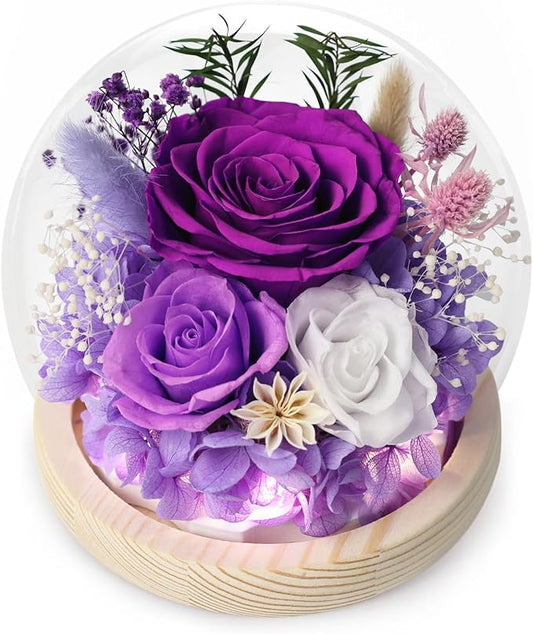 FIACO Gifts for Women Christmas Preserved Rose Forever Fresh Flowers for Delivery Birthday Flowers Gifts for Mom Grandma Wife Friends Purple Eternal Roses in Glass Dome