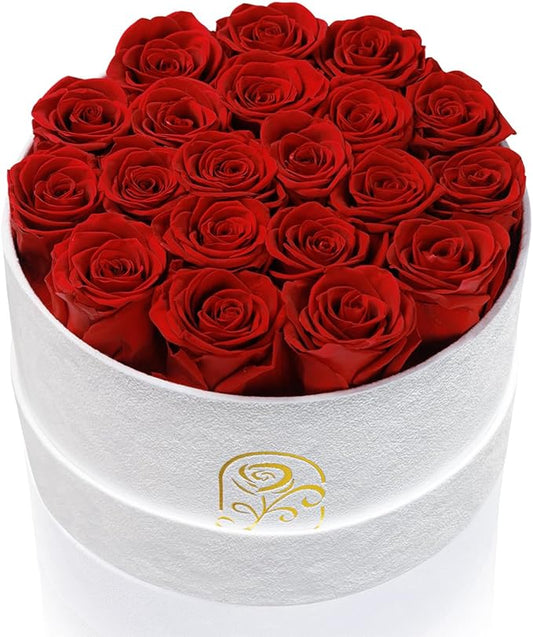 Gifts for Women Preserved Roses Flower Box, Luxury Velvet Box with 20 Roses, Preserved Flowers, Romantic Gift for Her, Wife, Girlfriend, Birthday Anniversary Christmas (Red)