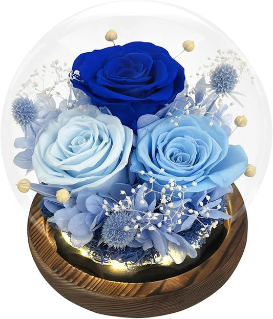 FIACO Valentines Gifts for Her Preserved Flowers in Glass Dome Long-Lasting Eternal Roses Birthday Gifts for Women Mom Grandma Wife Girlfriend Blue Forever Flowers for Delivery Prime