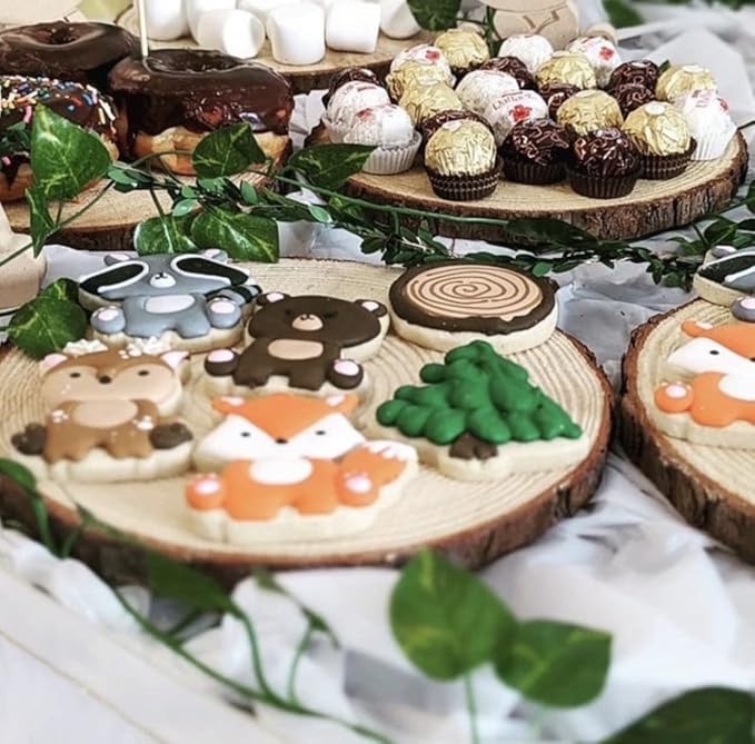 Set of (10) 7-9 inch Wood Slices for centerpieces, Arts and Crafts, and Rustic Home Decor! Wood Slice centerpieces, Wood Rounds, Tree Slices (Small 7-9 inch)