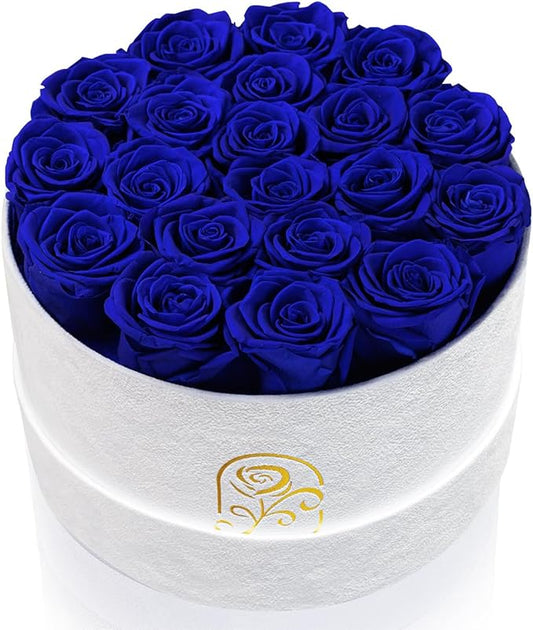 Gifts for Women Preserved Roses Flower Box, Luxury Velvet Box with 20 Roses, Preserved Flowers, Romantic Gift for Her, Wife, Girlfriend, Birthday Anniversary Christmas (Royal Blue)
