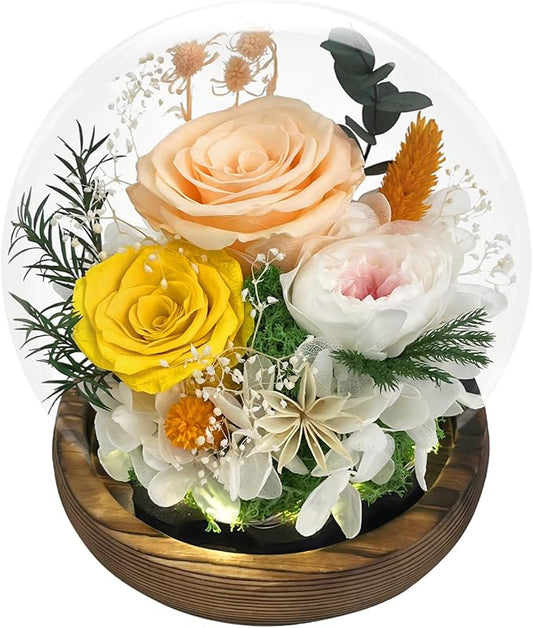 FIACO Valentines Gifts for Her Preserved Flowers in Glass Dome Long-Lasting Eternal Roses Birthday Gifts for Women Mom Grandma Wife Girlfriend Forever Flowers for Delivery Prime