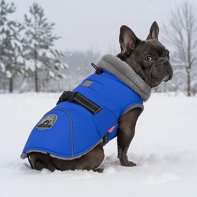 KYEESE Waterproof Dog Coat, Warm Windproof Jacket, Turtleneck Winter Dog Coats for Small Dogs with Leash Hole, Reflective Pet Clothes & Outdoor Apparel, Thick Fleece-Lined Winter Jacket, Blue, Large