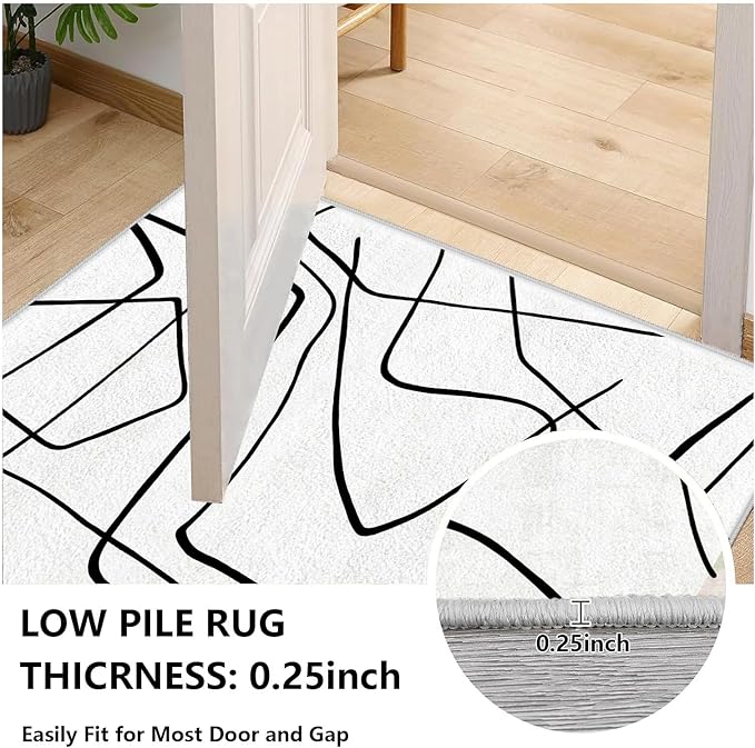 Black and White Rug - Abstract Area Rug, Black and White Rugs for Living Room, Modern Minimalist Washable Rugs, Contemporary Carpet Non Slip Home Decor, Curve 5x6