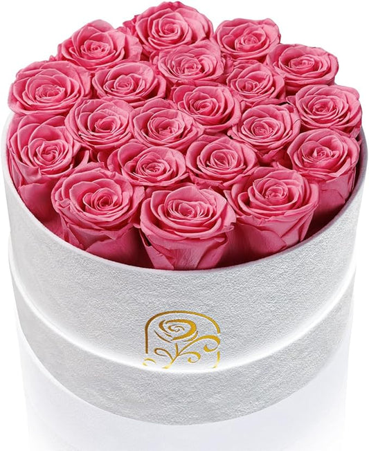Gifts for Women Preserved Roses Flower Box, Luxury Velvet Box with 20 Roses, Preserved Flowers, Romantic Gift for Her, Wife, Girlfriend, Birthday Anniversary Christmas (Pink)