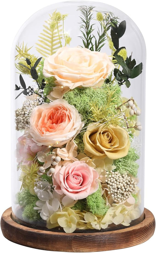 Flowers for Delivery Preserved Flowers Rose in Glass Dome,Champagne Rose Forever Flowers Birthday Gifts for Women Mom Grandma Friend Gifts for Her,Home Decor