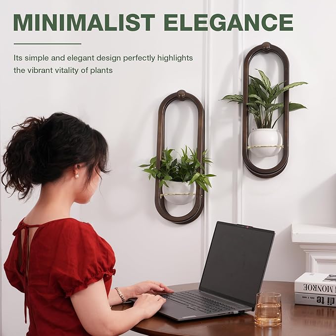 Wooden Wall Planters for Indoor - Modern Hanging Plant Stand Shelf with Ceramic Pot - Walnut Color (Set of 1)
