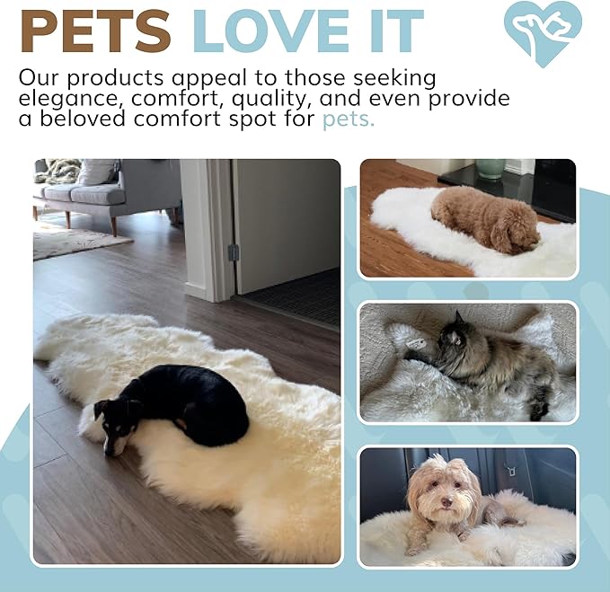 WaySoft New Zealand Sheepskin Area Rug – Genuine Fluffy Wool, Multiple Sizes, Bedroom or Living Room Decor(2ft x 6ft,Grey)