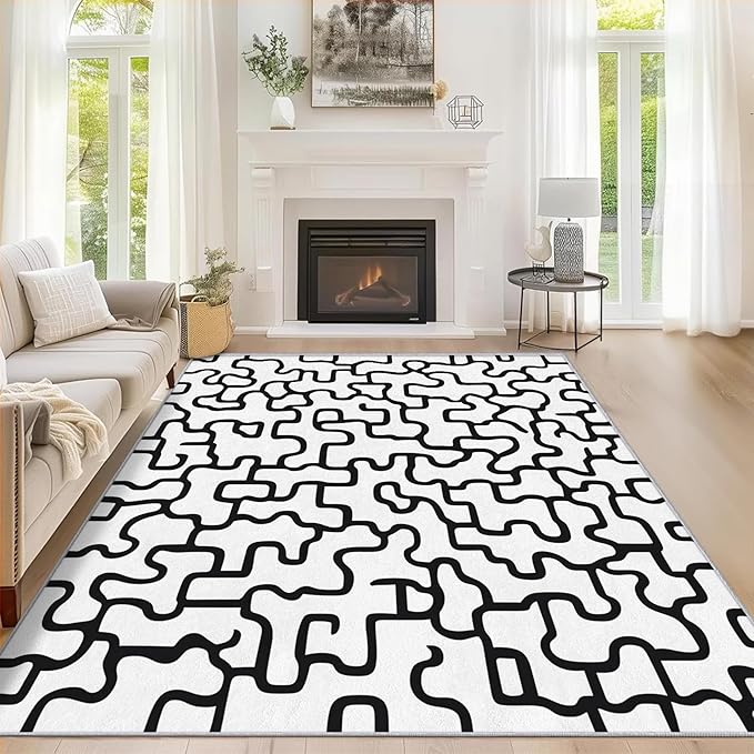 Abstract Geometric Rugs for Home Decor, 6x8 ft, Black and White Labyrinth Area Rugs for Living Room, Soft Non Slip Washable Modern Abstract Line Carpet Bedroom Decorations Dt-Ghf-31
