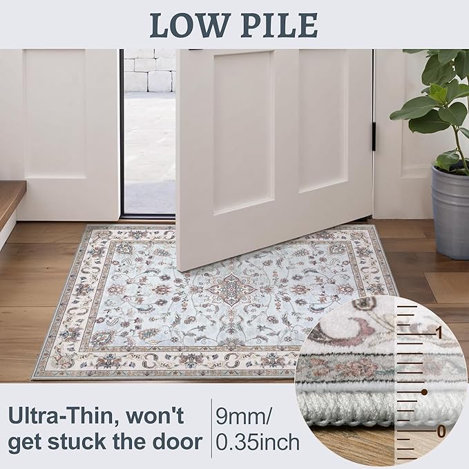 Tangsoo 2x3 Small Rug for Entryway, Washable Area Entry Rugs Non Slip, Low Pile Soft Area Rugs, Indoor Front Door Boho Throw Rug Carpet for Entrance Kitchen Bedroom Bathroom Home Decor
