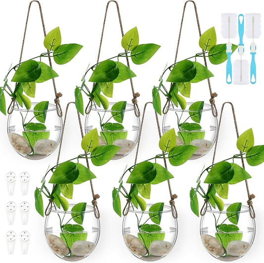 6 Pcs Wall Hanging Planter Glass Plant Pot Water Terrarium Containers Wall Vases for Flowers Air Hydroponic Propagation Glass Plant Holder Home Room Window Office(Oblate)