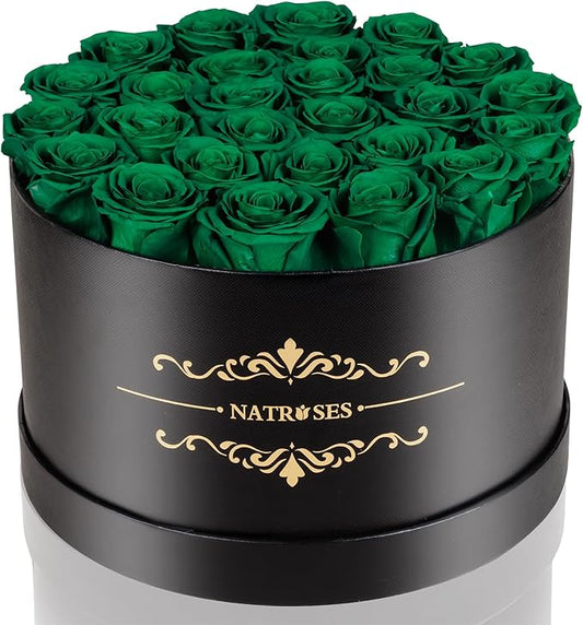 NATROSES 27 Piece Forever Preserved Roses in a Box, Preserved Flowers for Delivery Birthday, Flowers Gifts for Mothers Day, Forest Green