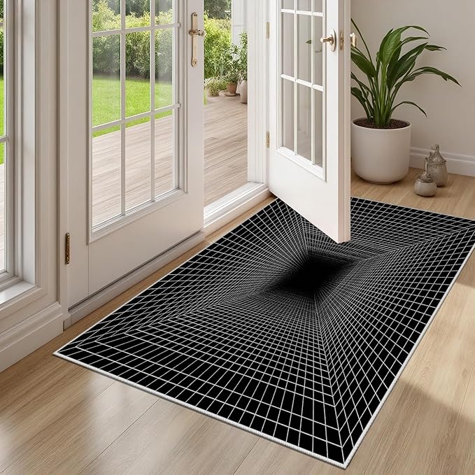 Optical Illusion Rug - Washable Rugs 4x5, Abstract Geometric Lines Soft Neutral Indoor Floor Mats Plaid Carpet, Non-Slip Stain Resistant Modern Black Rug for Bedroom, Living Room Rugs