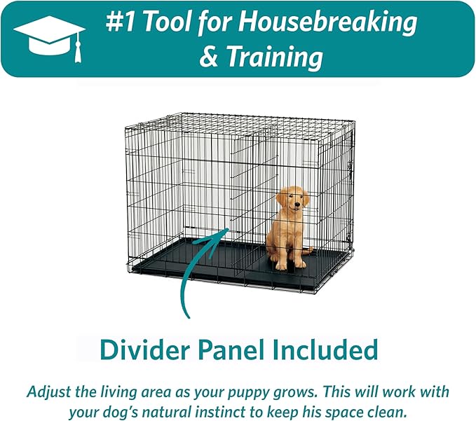 MidWest Homes for Pets 36-Inch Two-Door iCrate Folding Dog Crate with Divider Panel, Leak-Proof Tray & Secure Latches – Metal Wire Kennel for M-L Breeds – Portable, Durable & Easy to Assemble