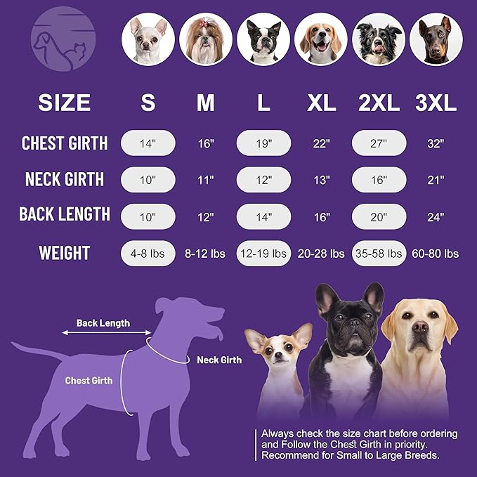 cyeollo Dog Sweaters for Small Dogs, Turtleneck Fleece Dog Sweater Stretchy Pullover Dogs Jacket Vest Lightweight Soft Warm Winter Pet Clothes, Green M