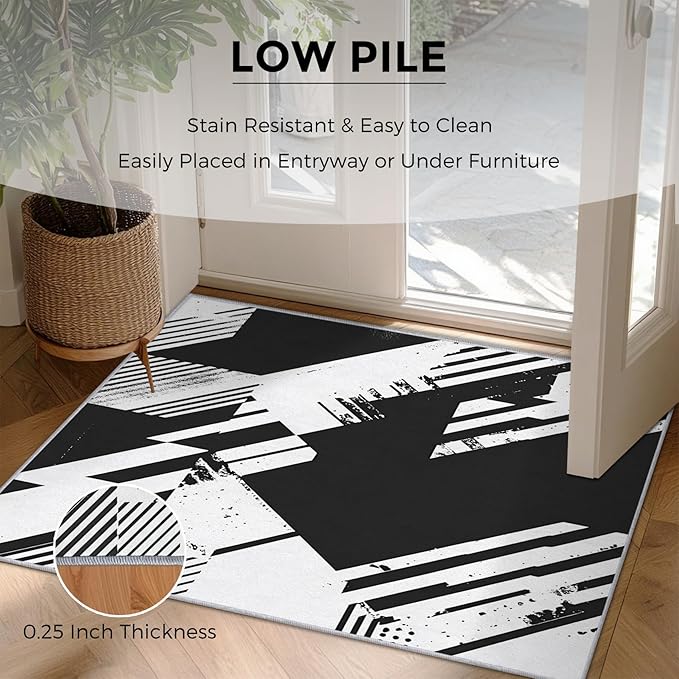 Black and White Rugs for Home Decor, 4x5 ft, Abstract Geometric Area Rugs for Living Room, Soft Non Slip Washable Modern Minimalist Carpet Bedroom Decorations Dt-Ghf-31