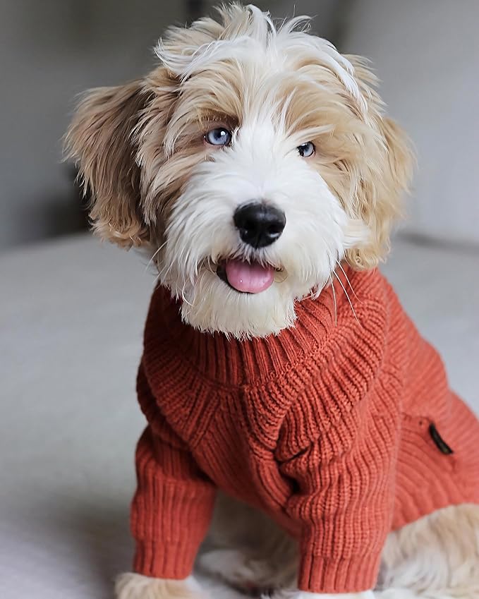 Fitwarm Thermal Knitted Dog Sweater Doggy Winter Coat Pet Clothes Doggie Turtleneck Jacket Puppy Outfits Cat Sweatshirt Red X-Large
