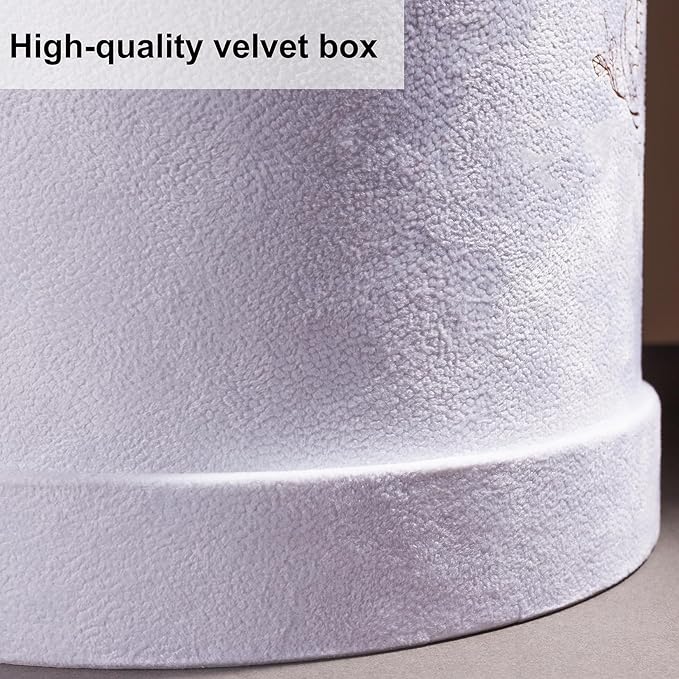 17 Flowers in a Luxury Suede Box, Birthday Gifts for Women, Preserved Flowers, Mothers Day Roses Gift for Mom, Champagne