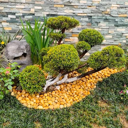 10lbs Yellow River Rocks, 2-3 Inch Natural Pebbles for Indoor Plants, High Polished Decorative Stones Vase Filler Fish Tank Aquariums Landscaping Garden