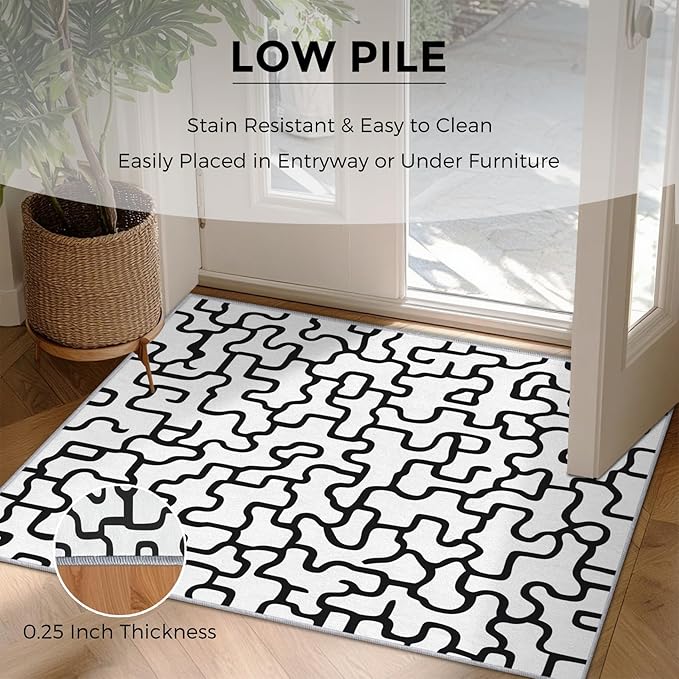 Abstract Geometric Rugs for Home Decor, 4x6 ft, Black and White Labyrinth Area Rugs for Living Room, Soft Non Slip Washable Modern Abstract Line Carpet Bedroom Decorations Dt-Ghf-31