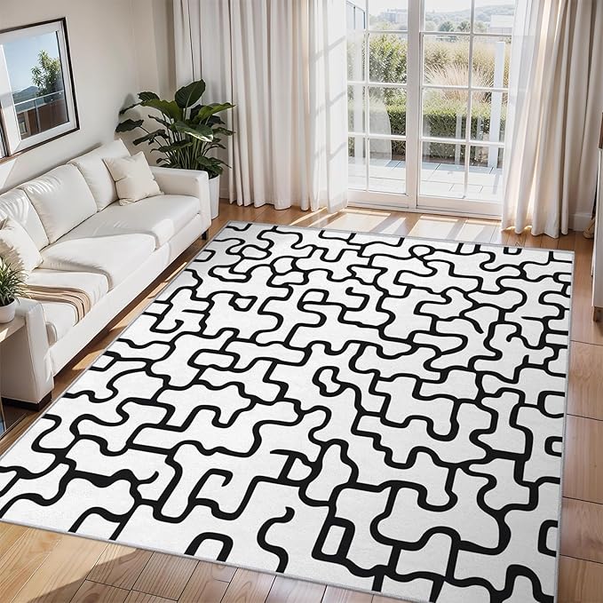 Abstract Geometric Rugs for Home Decor, 5x6 ft, Black and White Labyrinth Area Rugs for Living Room, Soft Non Slip Washable Modern Abstract Line Carpet Bedroom Decorations Dt-Ghf-31