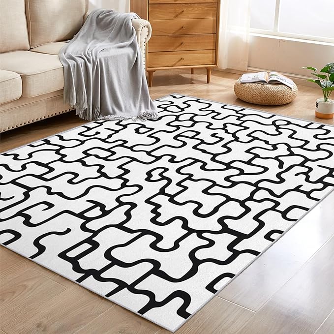 Abstract Geometric Rugs for Home Decor, 6x9 ft, Black and White Labyrinth Area Rugs for Living Room, Soft Non Slip Washable Modern Abstract Line Carpet Bedroom Decorations Dt-Ghf-31