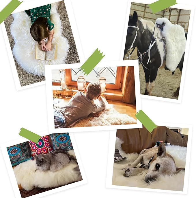 Premium Genuine Sheepskin Rug, Fuzzy Fluffy Shaggy Fur Wool Area Carpet for Soft Fur Pray Pup Mat,Bedroom,Living Room,Chair Sofa Seat Cover,Ivory White, 2' x 6'
