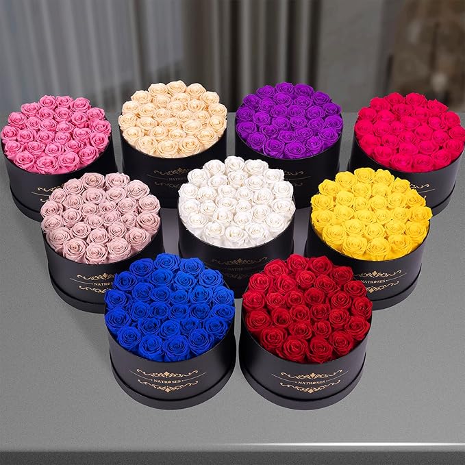 NATROSES 27 Piece Forever Preserved Roses in a Box, Preserved Flowers for Delivery Birthday, Flowers Gifts for Mothers Day, Dusty Pink