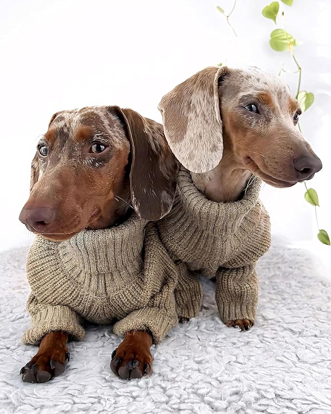Fitwarm Thermal Knitted Dog Sweater Doggy Winter Coat Pet Clothes Doggie Turtleneck Jacket Puppy Outfits Cat Sweatsuit Sage Green XX-Large