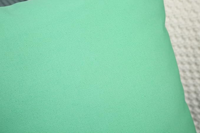 TangDepot Handmade Decorative Solid 100% Cotton Canvas Throw Pillow Covers/Cushion Covers, 45 Colors Available - (14" x 14", Mint Green)